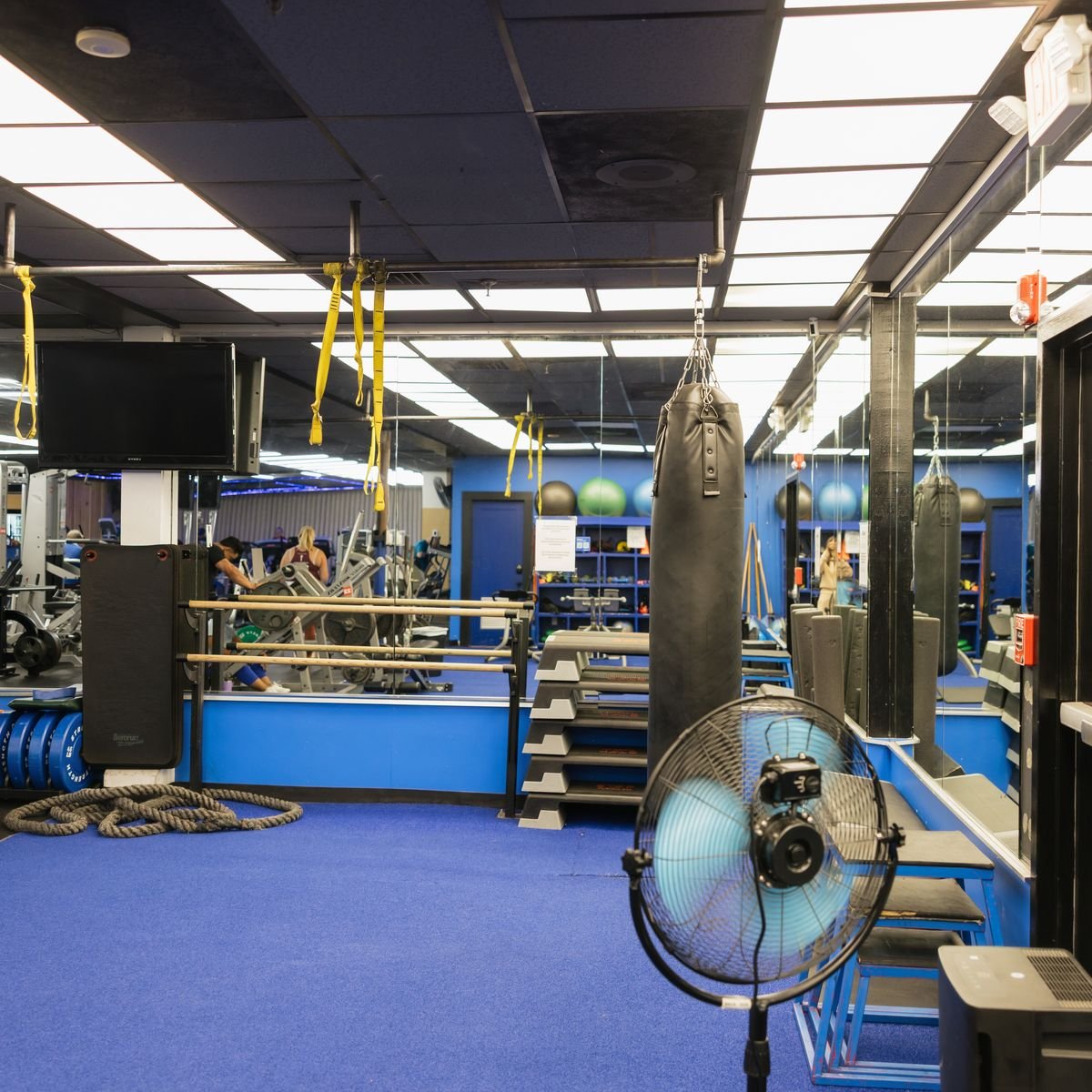Modern gym equipment at BlueFit Centerville MA