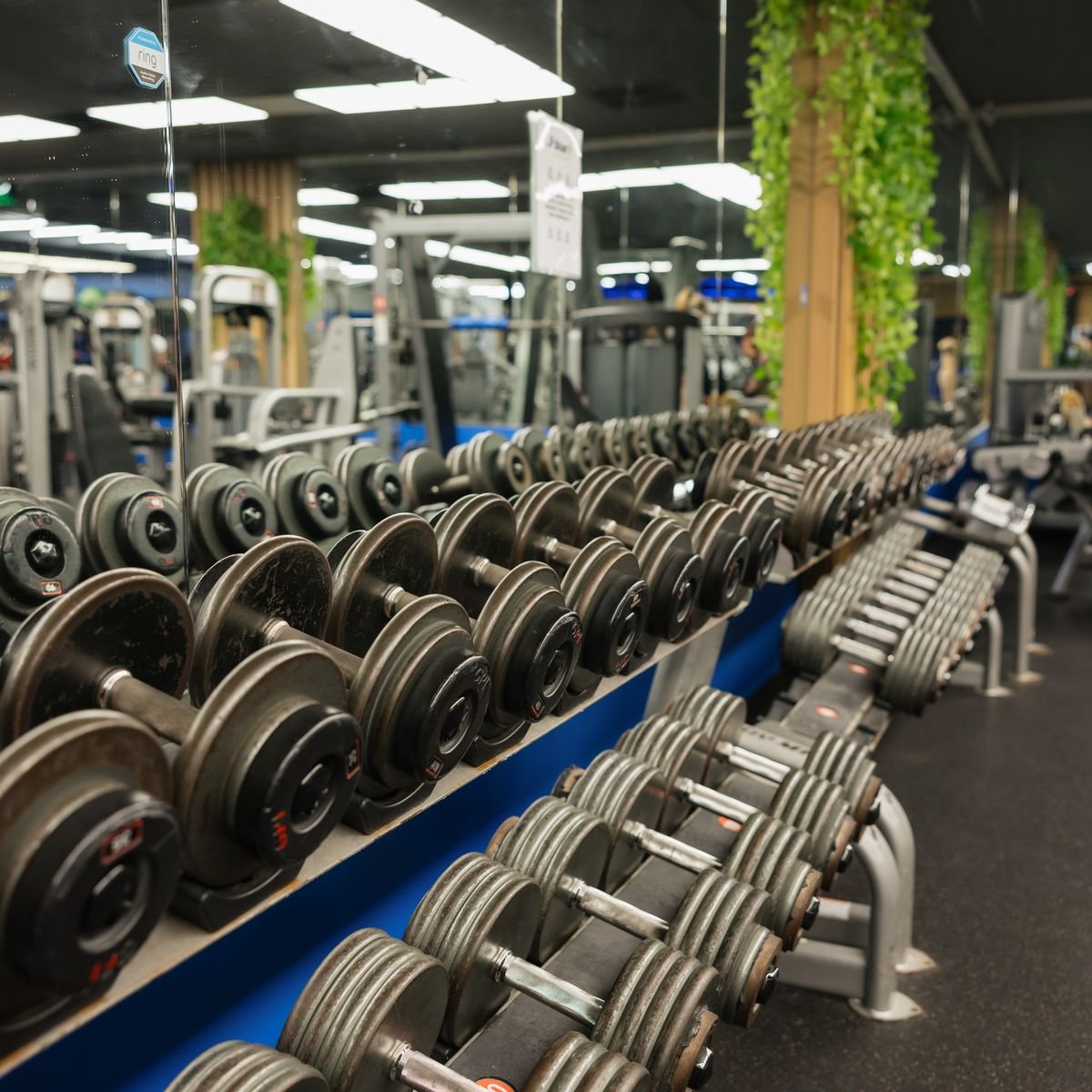 Personal training at BlueFit Cape Cod gym