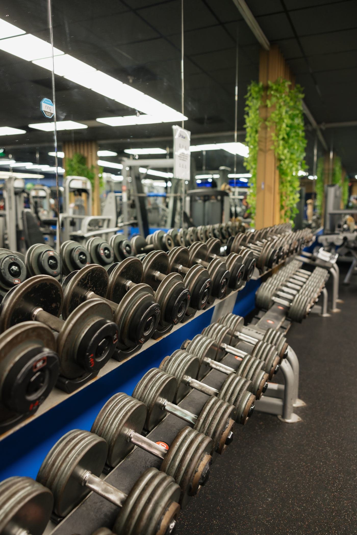 Personal training session at BlueFit gym, Centerville MA